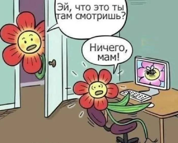Эй, что это ты там смотришь? Ничего, мам!