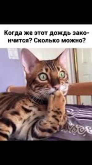 Когда же этот дождь заканчивается? Сколько можно?
