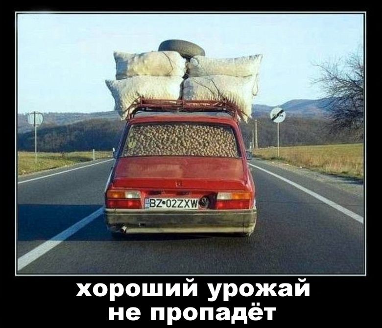 хороший урожай не пропадёт