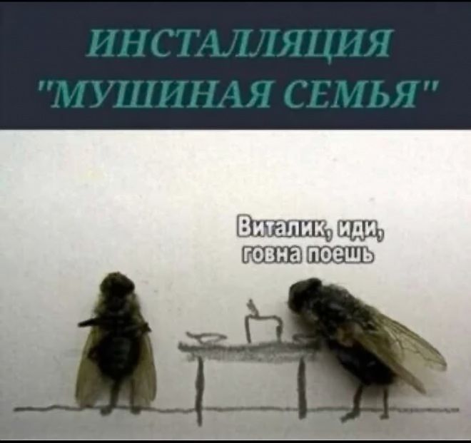 ИНСТАЛЛЯЦИЯ 