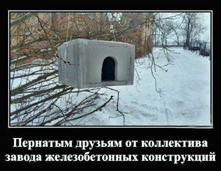 Пернатым друзьям от коллектива завода железобетонных конструкций