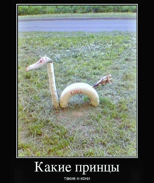 Какие принцы такие и кони