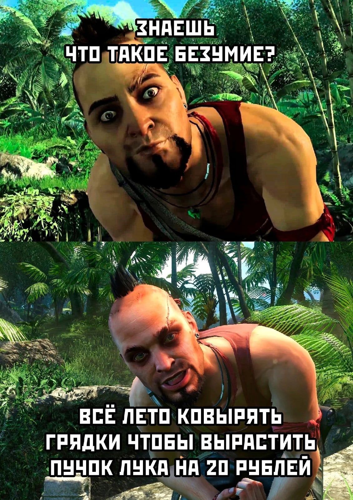 Знаешь что такое безумие? Всё лето ковырять грядки чтобы вырастить пучок лука на 20 рублей