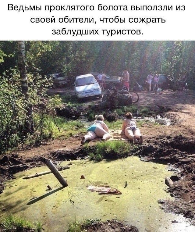 Ведьмы проклятого болота выползли из своей обители, чтобы сожрать заблудших туристов.