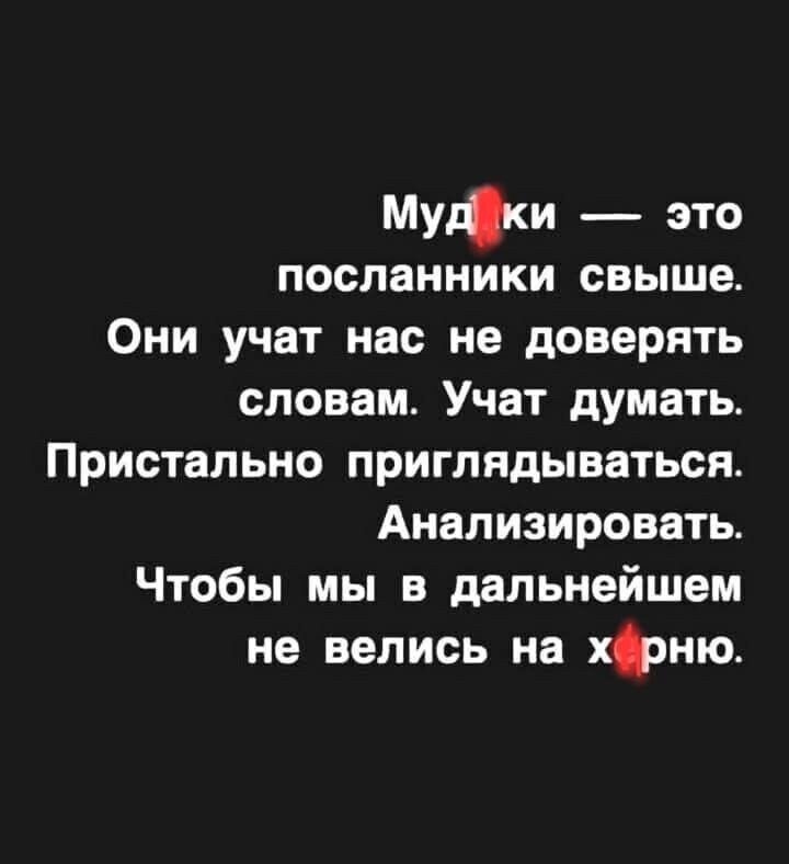 Мудрики — это посланники свыше. Они учат нас не доверять словам. Учат думать. Пристально приглядываться. Анализировать. Чтобы мы в дальнейшем не велись на херню.
