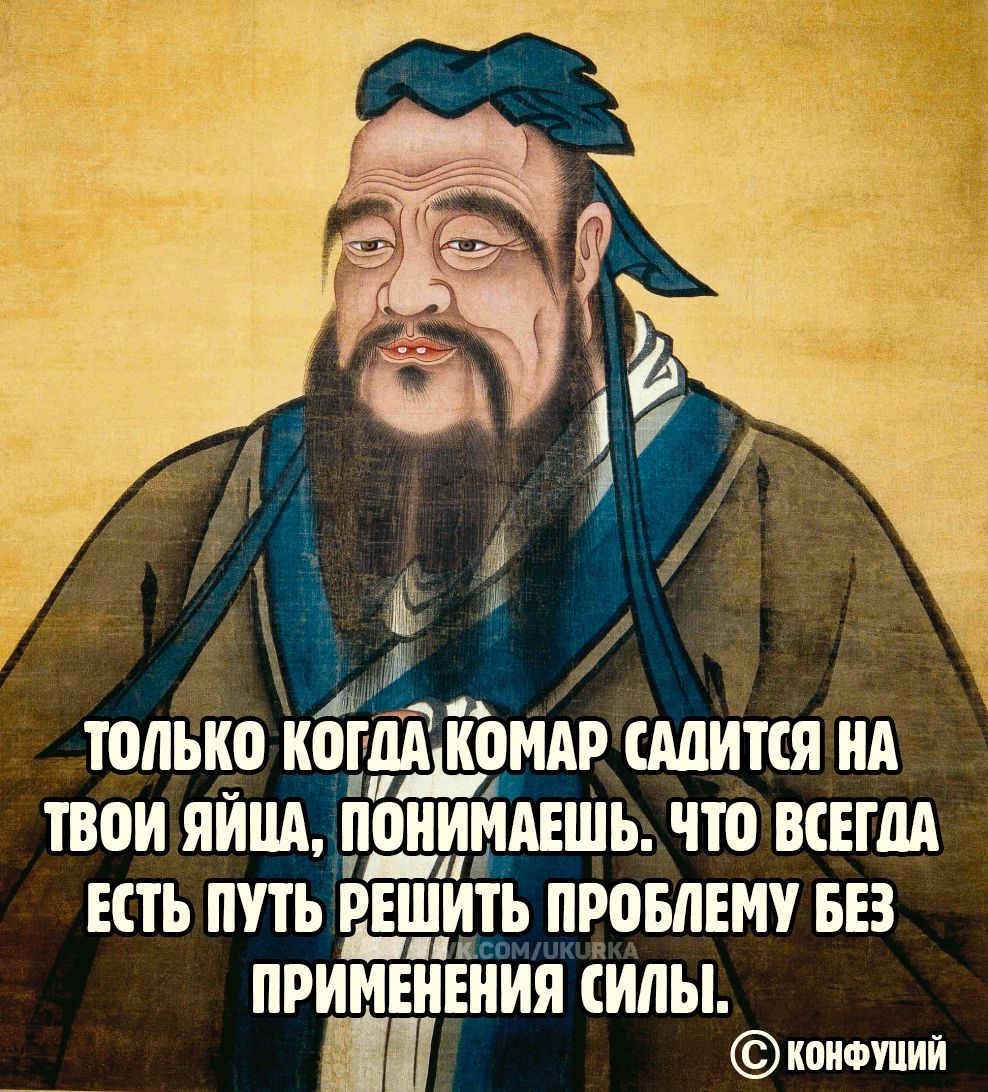 Только когда комар сядется на твои яйца, понимаешь, что всегда есть путь решить проблему без применения силы.