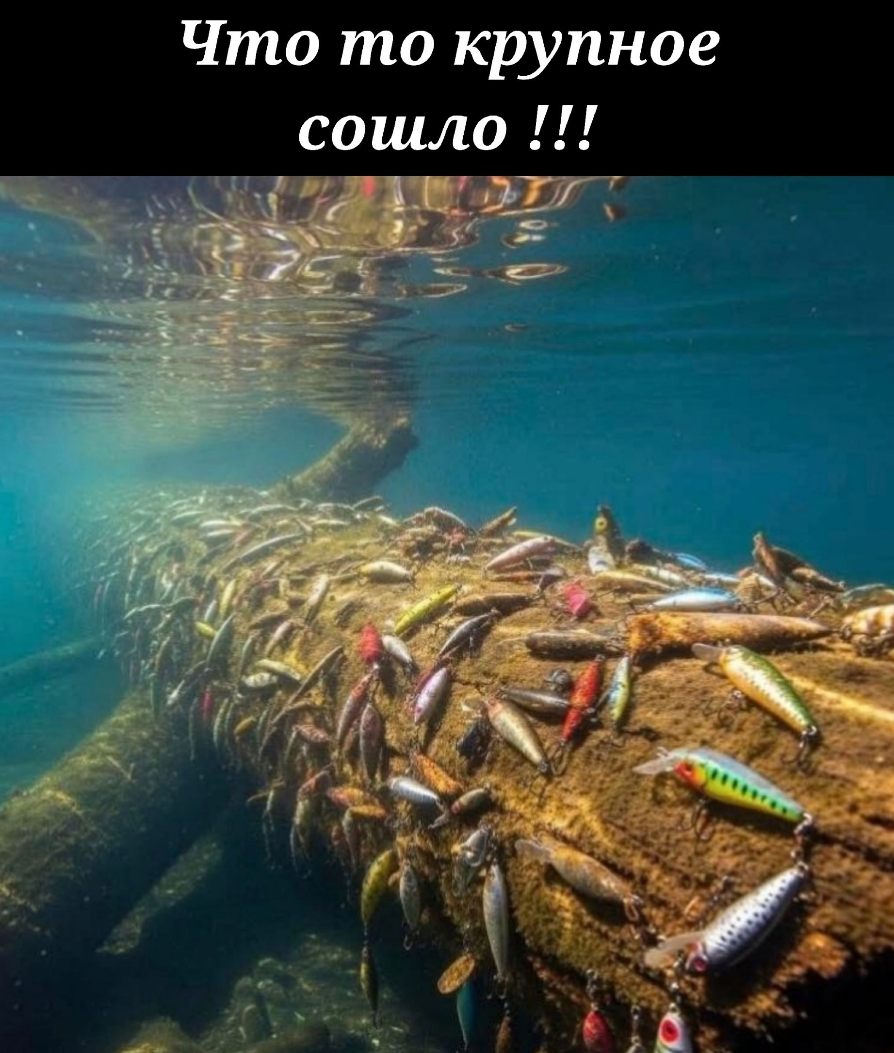 Что то крупное сошло !!!