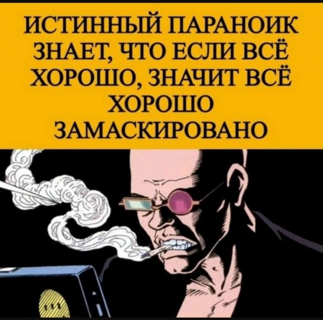 ИСТИННЫЙ ПАРАНОИК ЗНАЕТ, ЧТО ЕСЛИ ВСЁ ХОРОШО, ЗНАЧИТ ВСЁ ХОРОШО ЗАМАСКИРОВАНО