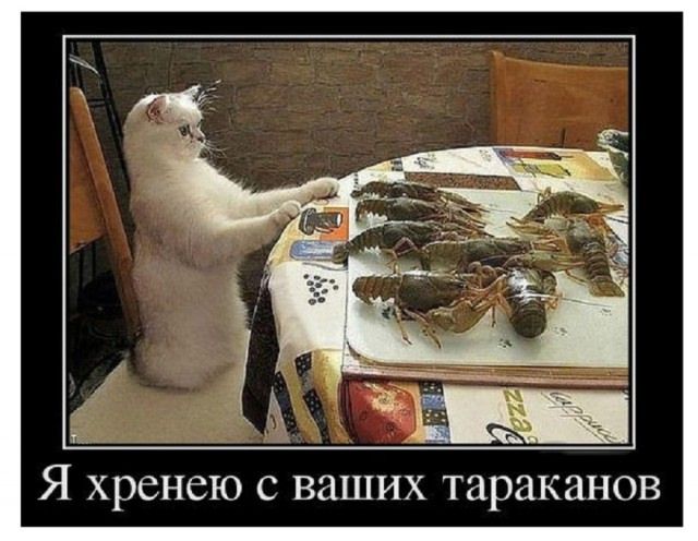 Я хреню с ваших тараканов