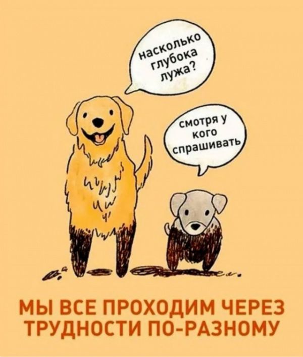 насколько глубока лужа?
смотрю у кого спрашивать
Мы все проходим через трудности по-разному