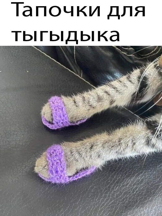 Тапочки для тыгыдыка
