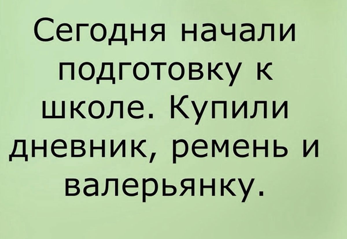 Сегодня начали подготовку к школе. Купили дневник, ремень и валерьянку.