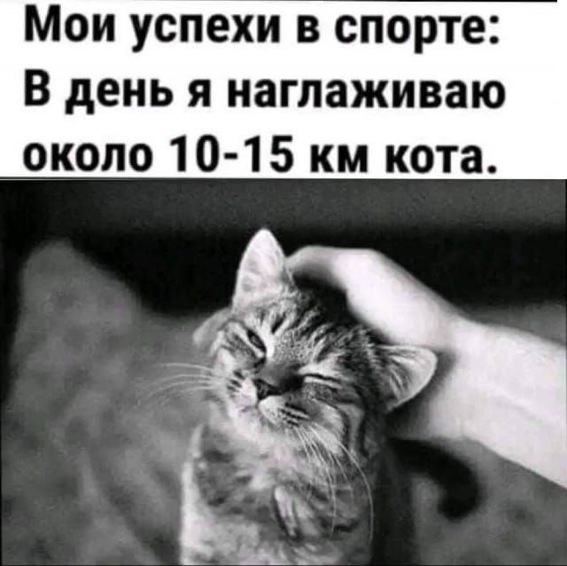 Мои успехи в спорте: В день я наглаживаю около 10-15 км кота.