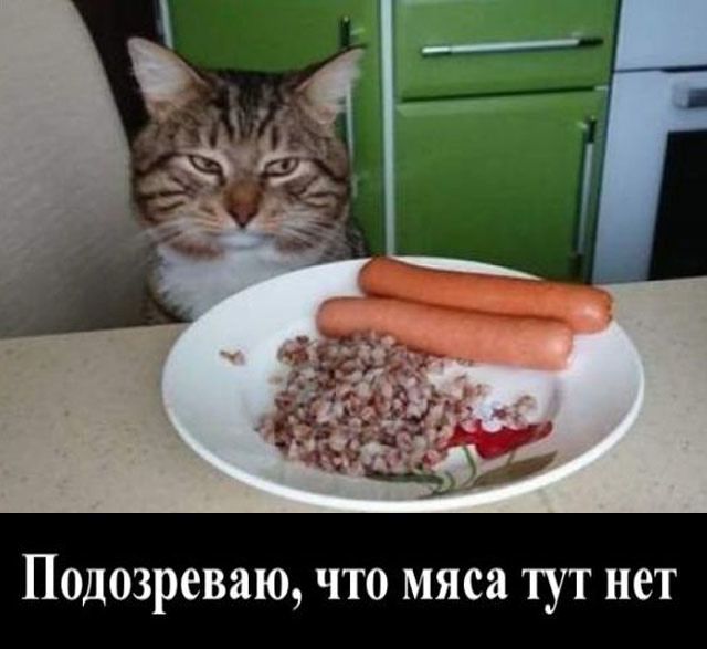 Подозреваю, что мяса тут нет