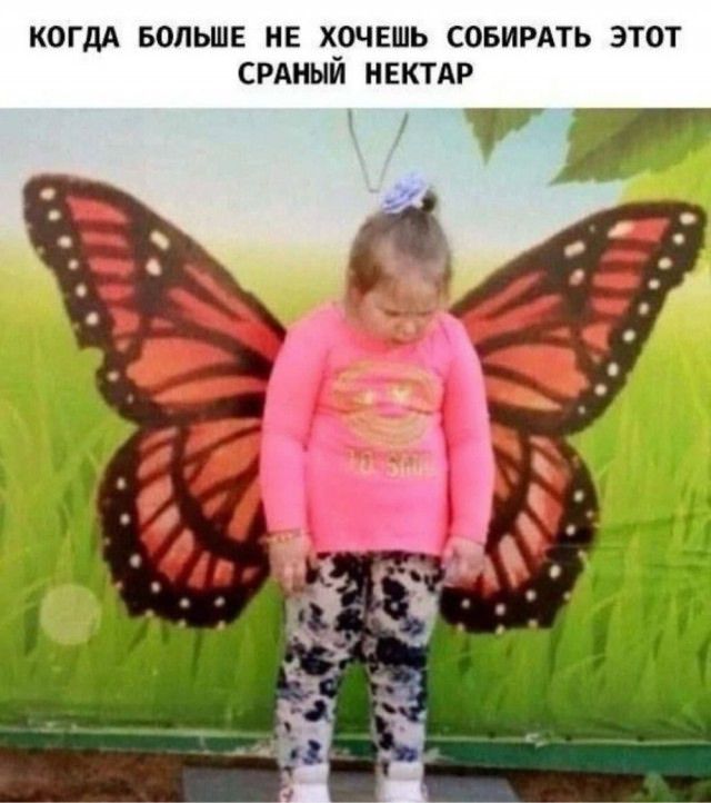 Когдa больше не хочешь собирать этот сраный нектар