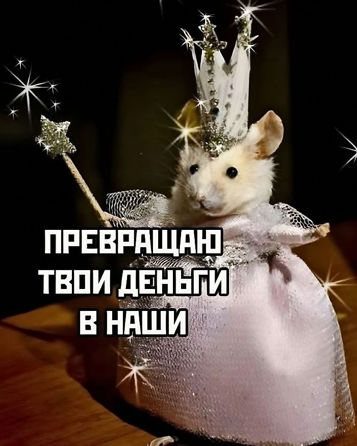 ПРЕВРАЩАЮ ТВОИ ДЕНЬГИ В НАШИ