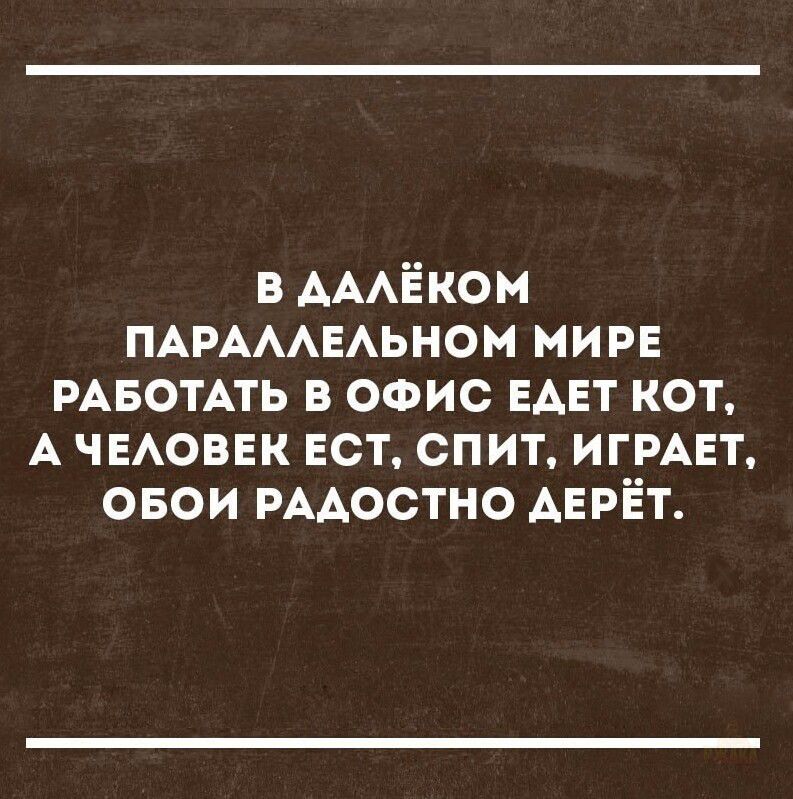 В ДАЛЁКОМ ПАРАЛЛЕЛЬНОМ МИРЕ РАБОТАТЬ В ОФИС ЕДЕТ КОТ, А ЧЕЛОВЕК ЕСТ, СПИТ, ИГРАЕТ, ОБОИ РАДОСТНО ДЕРЁТ.