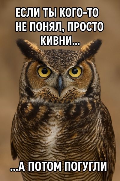 ЕСЛИ ТЫ КОГО-ТО НЕ ПОНЯЛ, ПРОСТО КИВНИ...
...А ПОТОМ ПОГУГЛИ