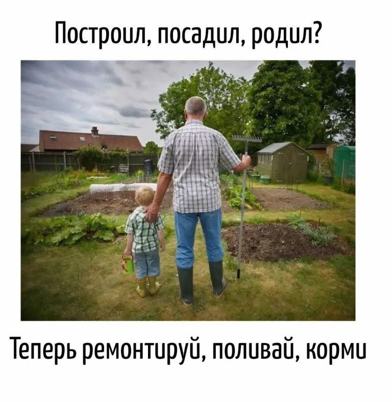 Построил, посадил, родил? Теперь ремонтируй, поливай, корми.