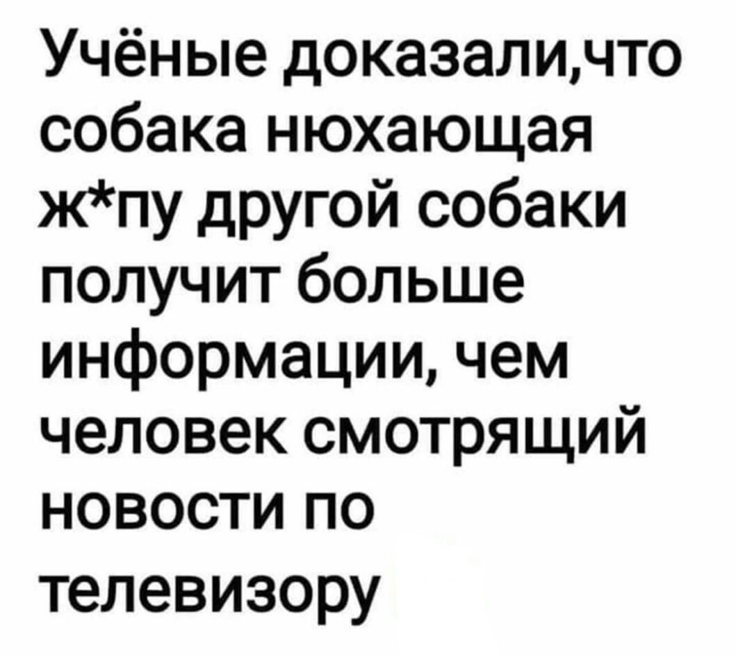 Учёные доказали, что собака нюхающая ж*пу другой собаки получит больше информации, чем человек смотрящий новости по телевизору