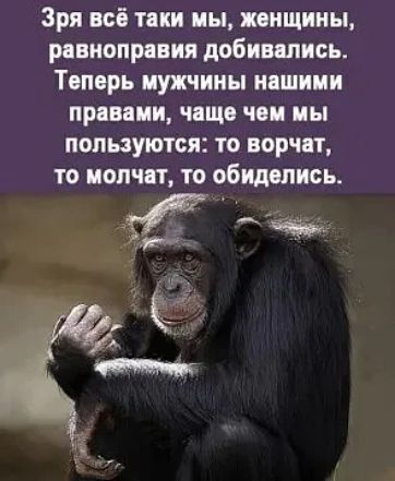 Зря всё таки мы, женщины, равноправия добивались. Теперь мужчины нашими правилами, чаще чем мы пользуются: то ворчат, то молчат, то обиделись.