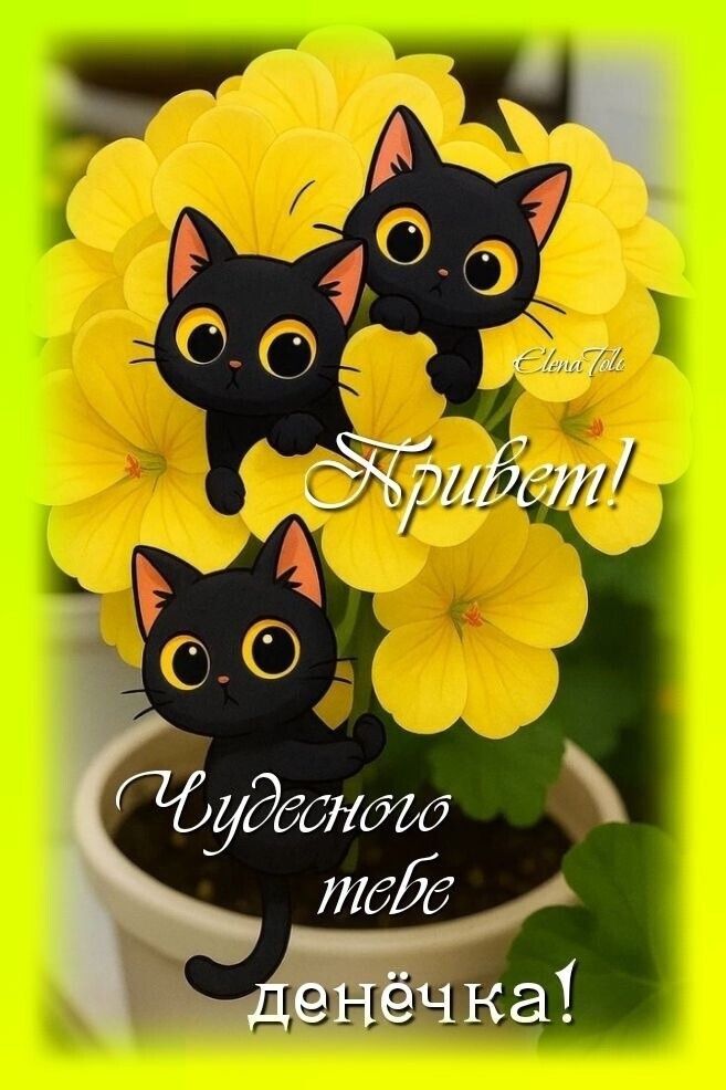 Привет! Чудесного тебе денёчка!