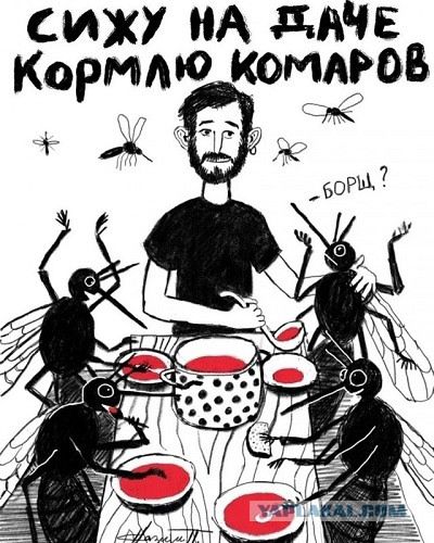 Сижу на даче кормлю комаров. - Борщ?
