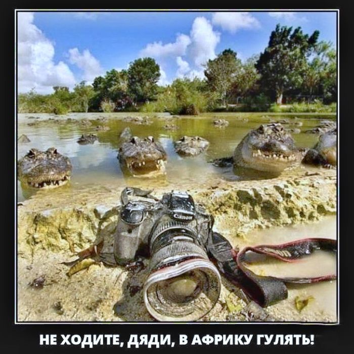 НЕ ХОДИТЕ, ДЯДИ, В АФРИКУ ГУЛЯТЬ!