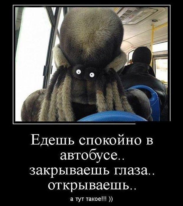 Едешь спокойно в автобусе.. закрываешь глаза.. открываешь.. а тут такое!!! ))