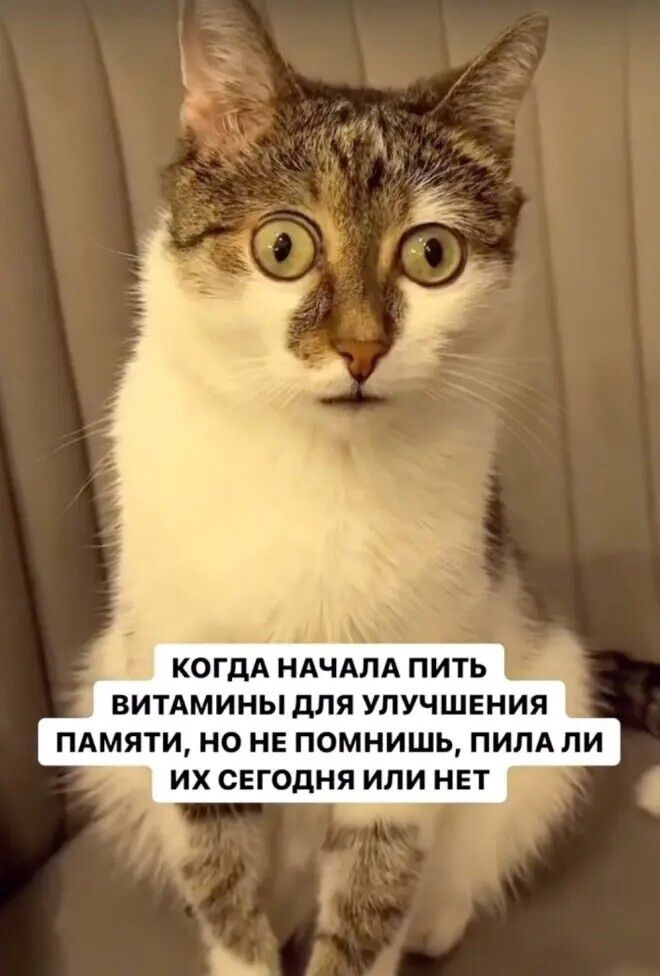 Когда начала пить витамины для улучшения памяти, но не помнишь, пила ли их сегодня или нет