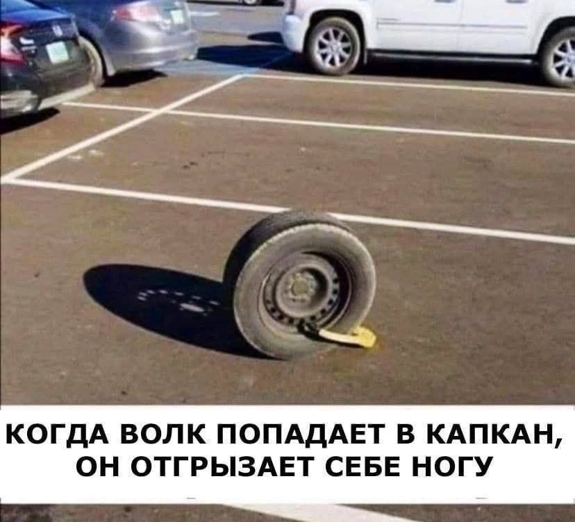 КОГДА ВОЛК ПОПАДАЕТ В КАПКАН, ОН ОТГРЫЗАЕТ СЕБЕ НОГУ