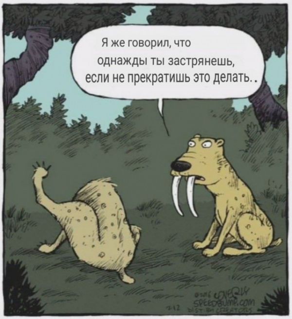 Я же говорил, что однажды ты застрянешь, если не прекратишь это делать..