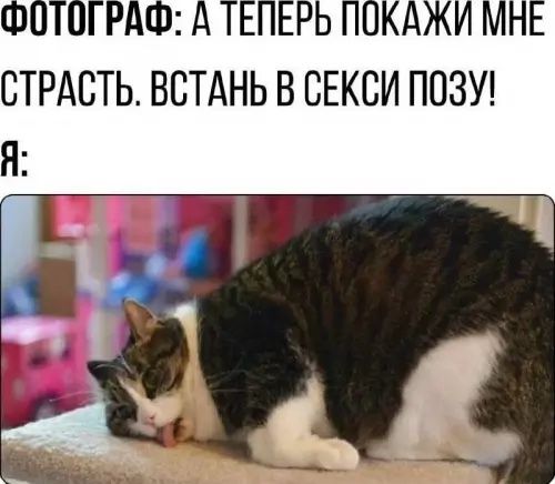 А ТЕПЕРЬ ПОКАЗИ МНЕ СТРАСТЬ. ВСТАНЬ В СЕКСИ ПОЗУ!