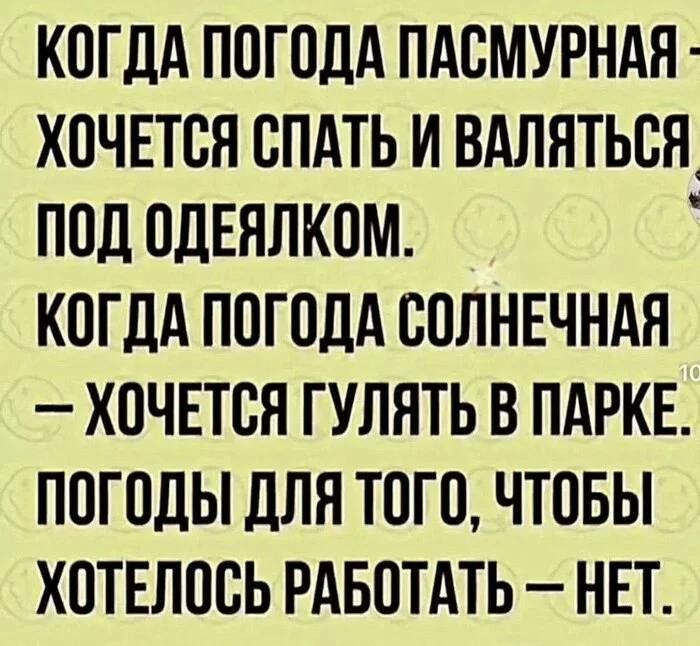 КОЛДА ПОГОДА ПАСМУРНАЯ - ХОЧЕТСЯ СПАТЬ И ВАЛЯТЬСЯ ПОД ОДЕЯЛКОН. КОГДА ПОГОДА СОЛНЕЧНАЯ - ХОЧЕТСЯ ГУЛЯТЬ В ПАРКЕ. ПОГОДЫ ДЛЯ ТОГО, ЧТОБЫ ХОТЕЛОСЬ РАБОТАТЬ - НЕТ.