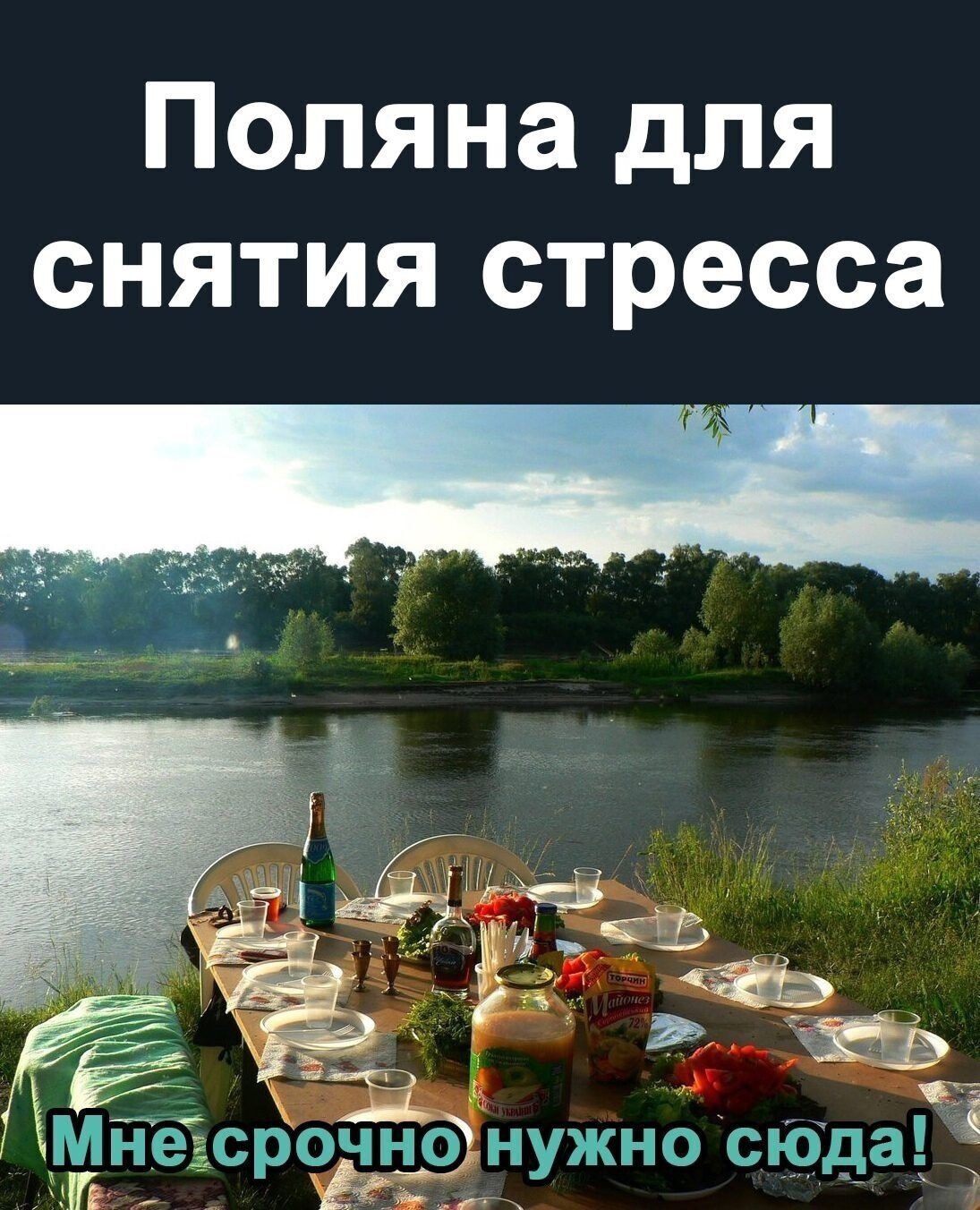 Поляна для снятия стресса
Мне срочно нужно сюда!