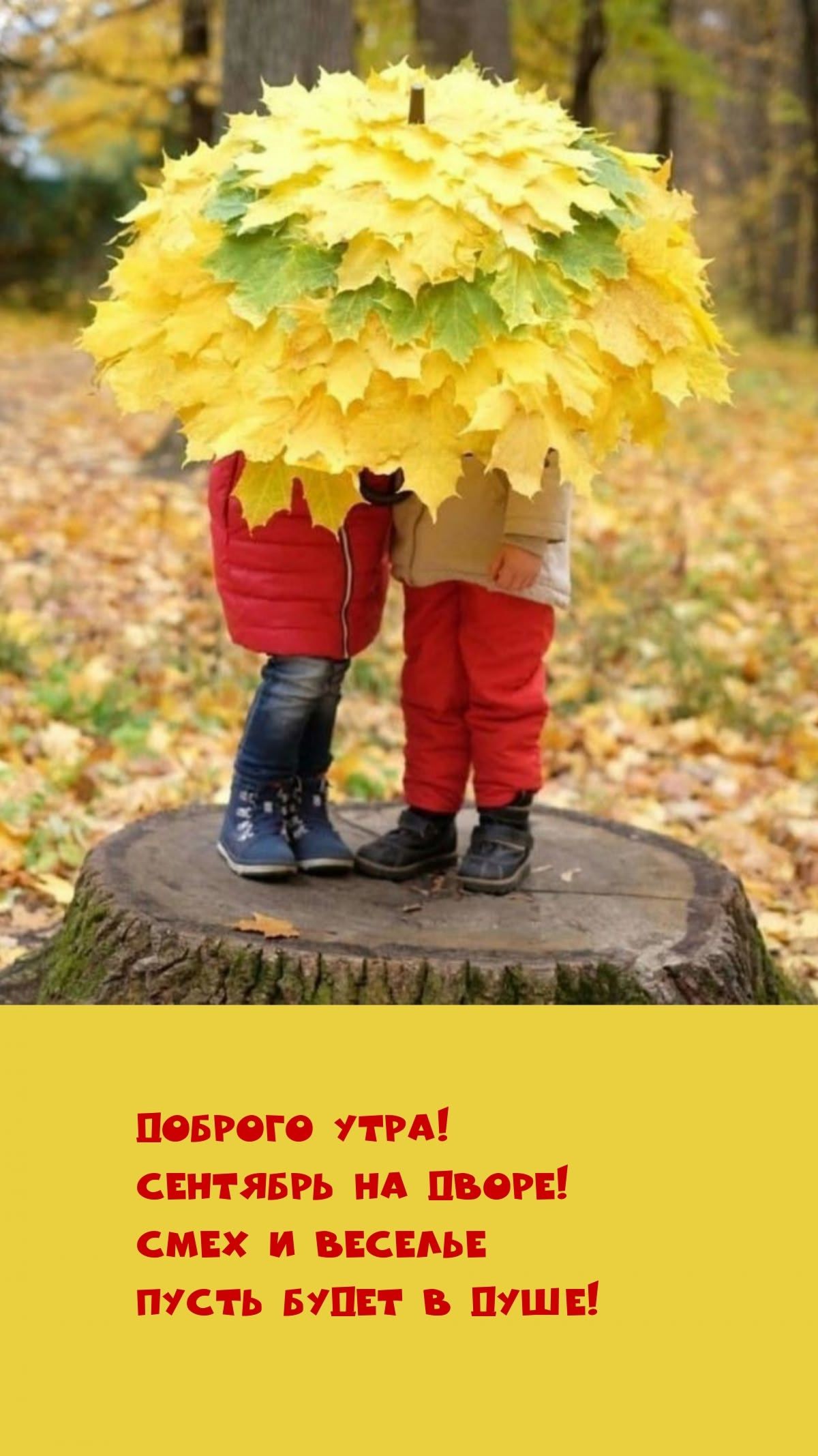 Доброе утро! Сентябрь на дворе! Смех и веселье пусть будет в пыше!