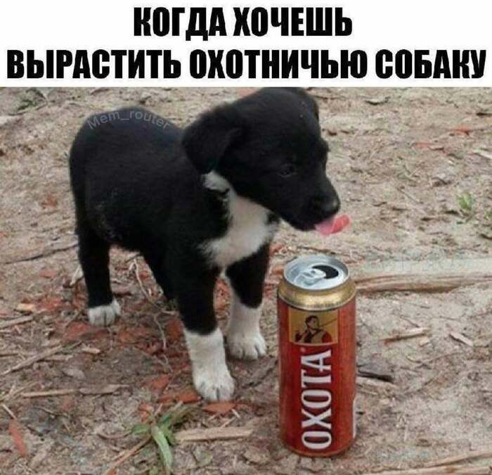 КОГДА ХОЧЕШЬ ВЫРАСТИТЬ ОХОТНИЧЬЮ СОБАКУ