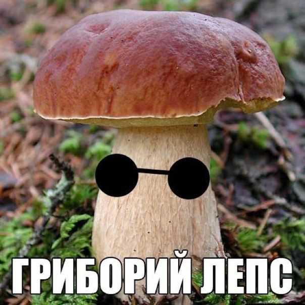 ГРИБОРИЙ ЛЕПС