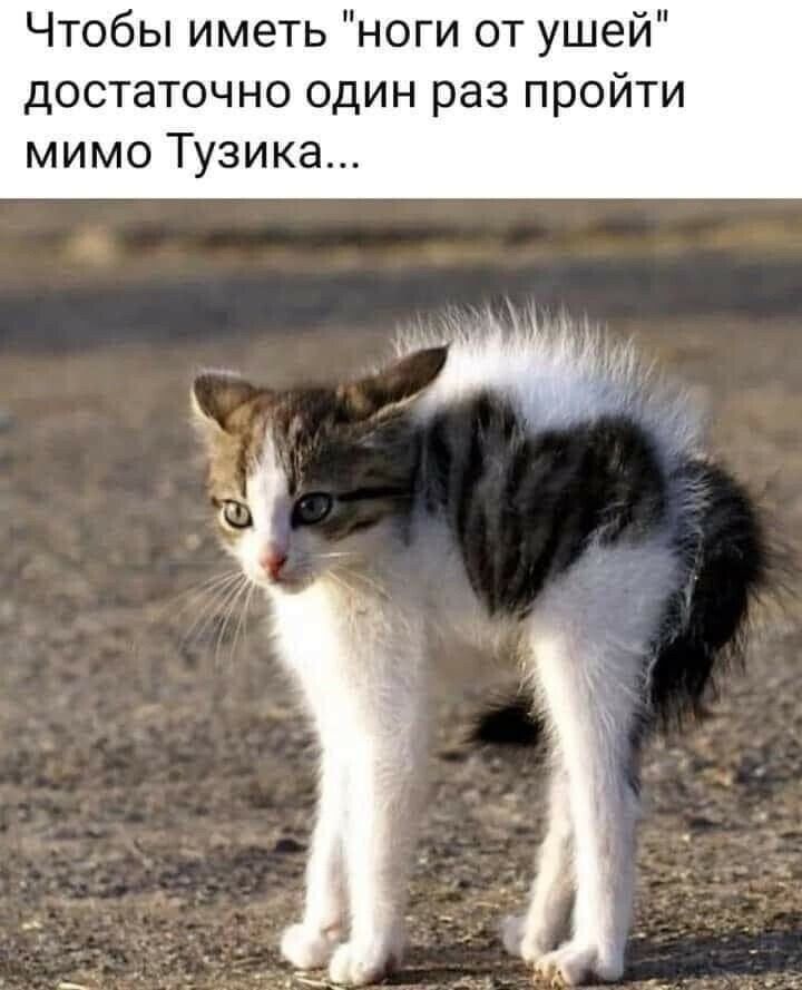 Чтобы иметь 