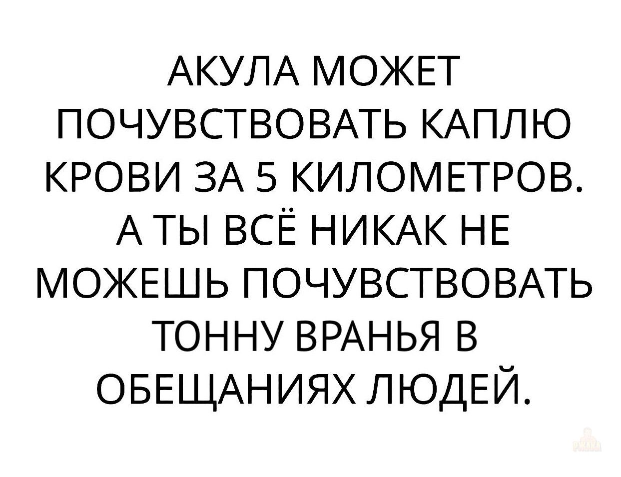 АКУЛА МОЖЕТ ПОЧУВСТВОВАТЬ КАПЛЮ КРОВИ ЗА 5 КИЛОМЕТРОВ. А ТЫ ВСЁ НИКАК НЕ МОЖЕШЬ ПОЧУВСТВОВАТЬ ТОННУ ВРАНЬЯ В ОБЕЩАНИЯХ ЛЮДЕЙ.