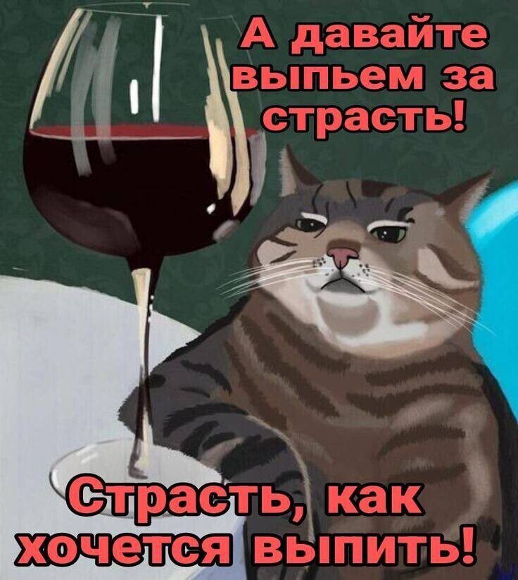 А давайте выпьем за страсть! Страсть, как хочется выпить!