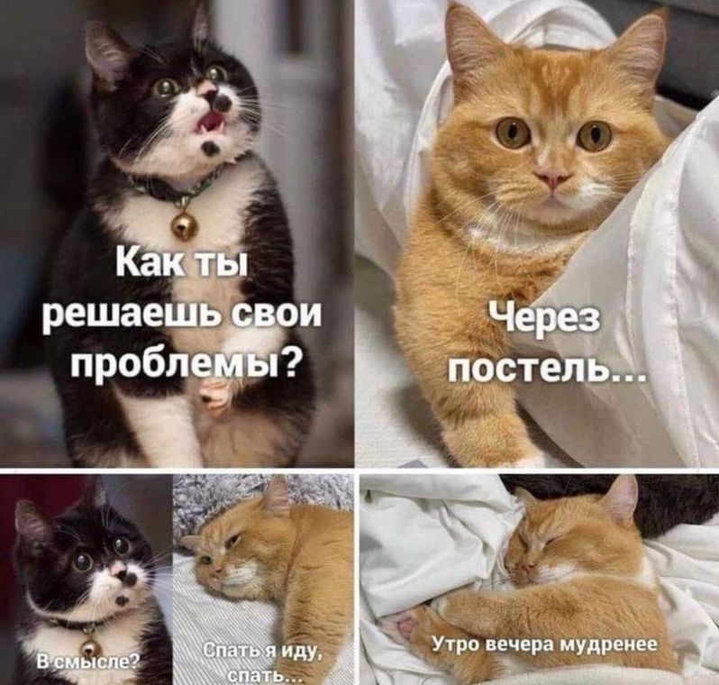 Как ты решаешь свои проблемы? Через постель... В смысле? Спать я иду, спать... Утро вечера мудренее