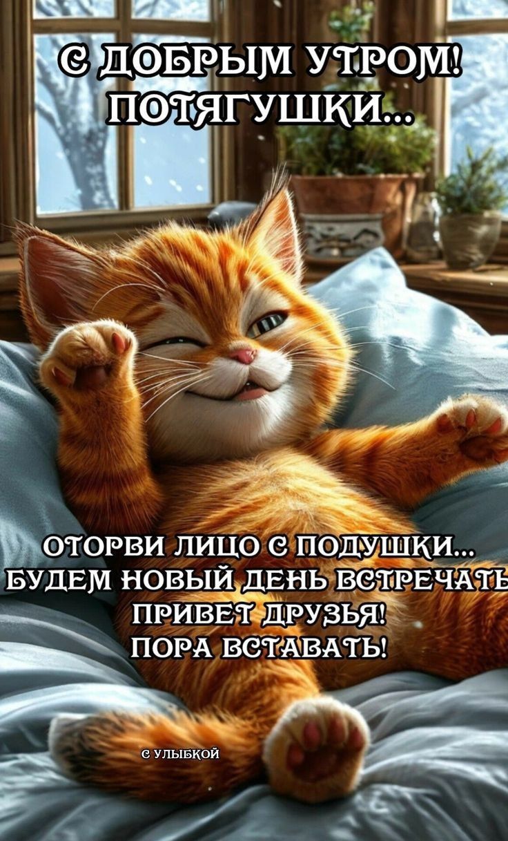 С ДОБРЫМ УТРОМ! ПОТЯГУШКИ...
ОТОРВИ ЛИЦО С ПОДУШКИ...
БУДЕМ НОВЫЙ ДЕНЬ ВСТРЕЧАТЬ!
ПРИВЕТ ДРУЗЬЯ!
ПОРА ВСТАВАТЬ!