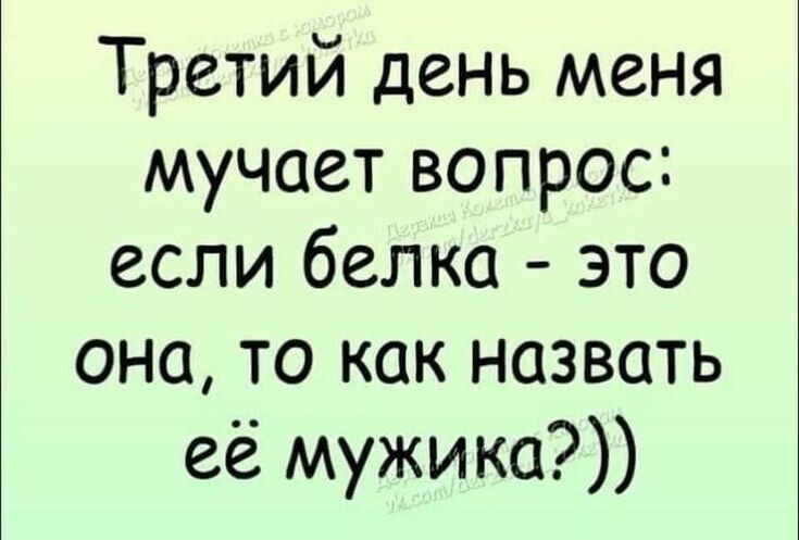 Третий день меня мучает вопрос: если белка - это она, то как назвать её мужика?))