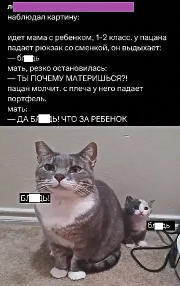 наблюдал картину:
идет мама с ребенком, 1-2 класс. у пацана падает рюкзак со сменкой, он выдыхает:
— блять
мать, резко остановилась:
— ТЫ ПОЧЕМУ МАТЕРИШЬСЯ?!
пацан молчит. с плеча у него падает портфель.
мать:
— ДА БЛЯТЬ! ЧТО ЗА РЕБЕНОК

блять!