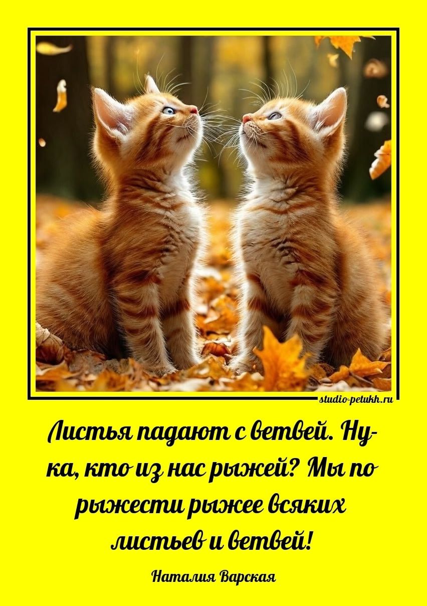 Листья падают с ветвей. Ну-ка, кто из нас рыжеей? Мы по рыжести рыжее всяких листьев и ветвей! Наталия Варская