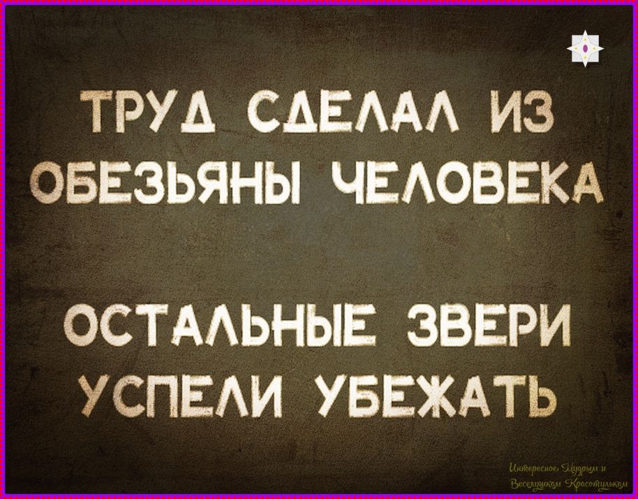 ТРУД СДЕЛАЛ ИЗ ОБЕЗЬЯНЫ ЧЕЛОВЕКА
ОСТАЛЬНЫЕ ЗВЕРИ УСПЕЛИ УБЕЖАТЬ