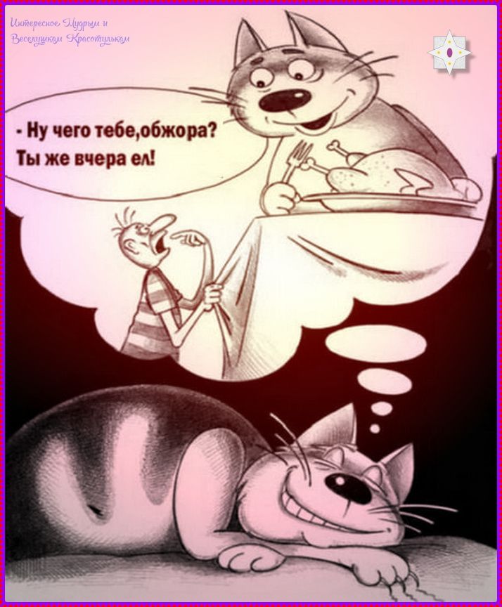 Ну чего тебе, обжора? Ты же вчера ел!