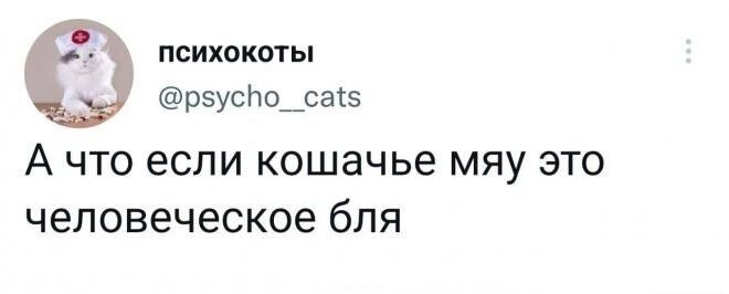 А что если кошачье мяу это человеческое бля