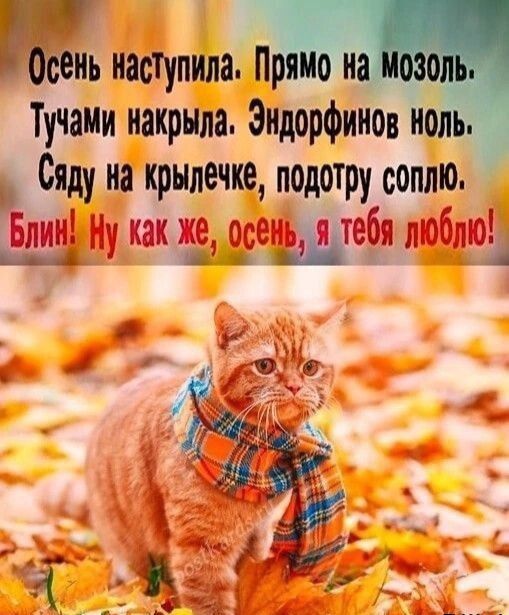 Осень наступила. Прямо на мозоль.
Тучами накрыла. Эндорфинов ноль.
Сяду на крылечке, подотру соплю.
Блин! Ну как же, осень, я тебя люблю!